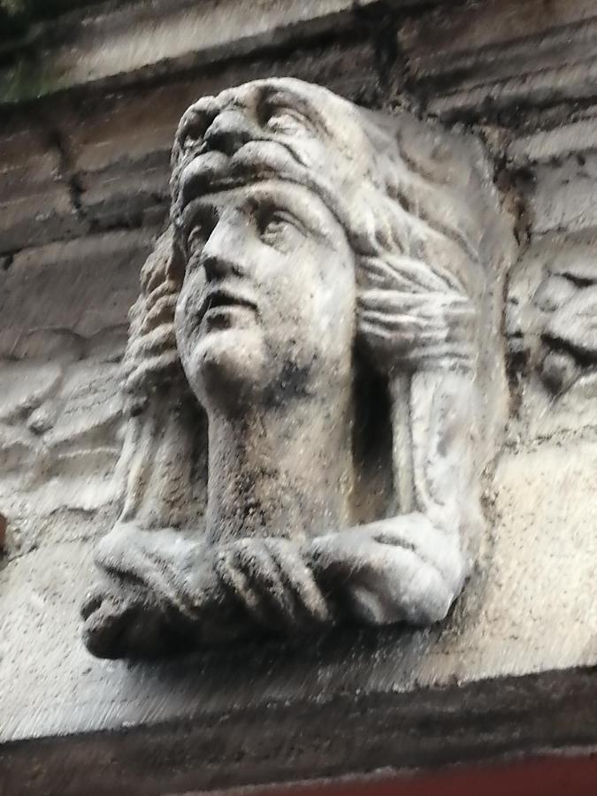Logis Du Cagaire Lägenhet Le Puy-en-Velay Exteriör bild